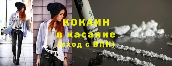 сатива Горняк