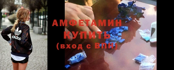сатива Горняк