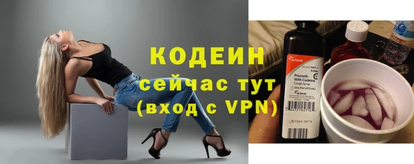 сатива Горняк