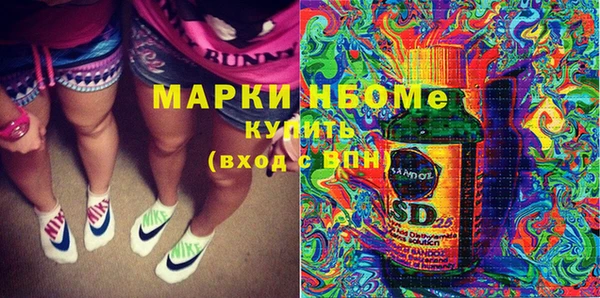 сатива Горняк