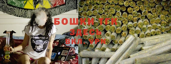 сатива Горняк