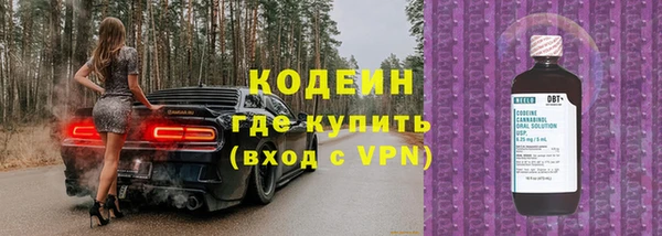 сатива Горняк