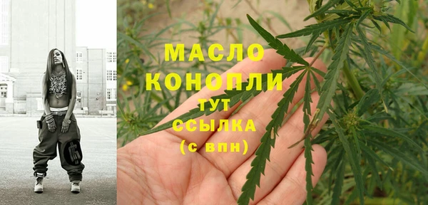 сатива Горняк
