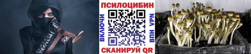 Галлюциногенные грибы Magic Shrooms  Первоуральск 